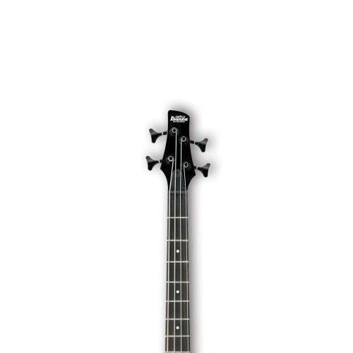 Ibanez SR200SM SR Series Bass Guitar - Natural Gray Burst