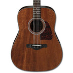 Ibanez AW54 Artwood Acoustic Guitar in Open Pore Natural