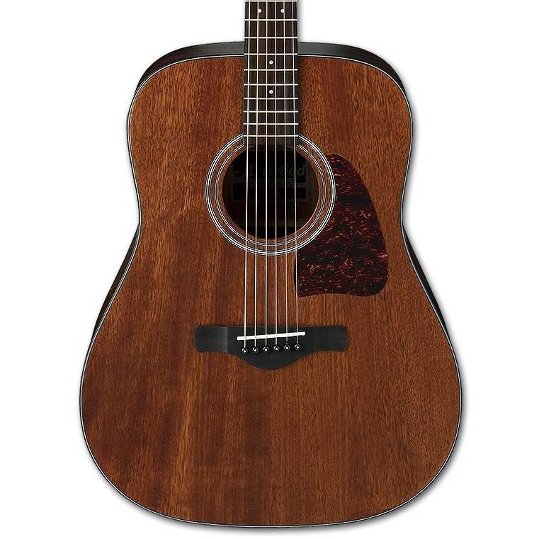 Ibanez AW54 Artwood Acoustic Guitar in Open Pore Natural