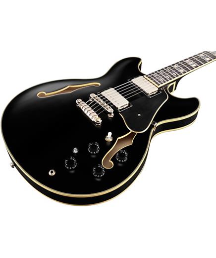 Ibanez JSM20 John Scofield Signature Hollowbody Guitar in Hard Case - Black Low Gloss