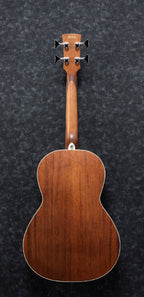 Ibanez PNB14E Acoustic Bass Guitar in Open Pore Natural