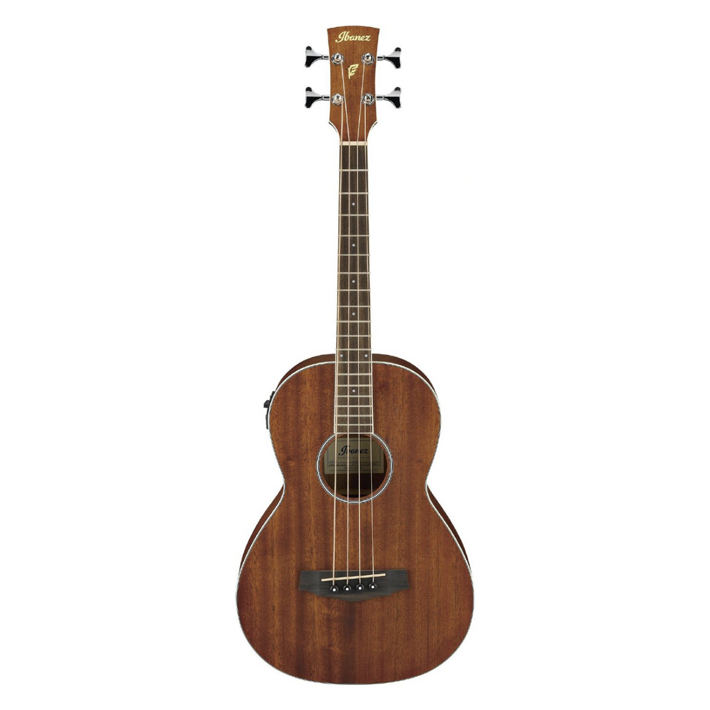 Ibanez PNB14E Acoustic Bass Guitar in Open Pore Natural