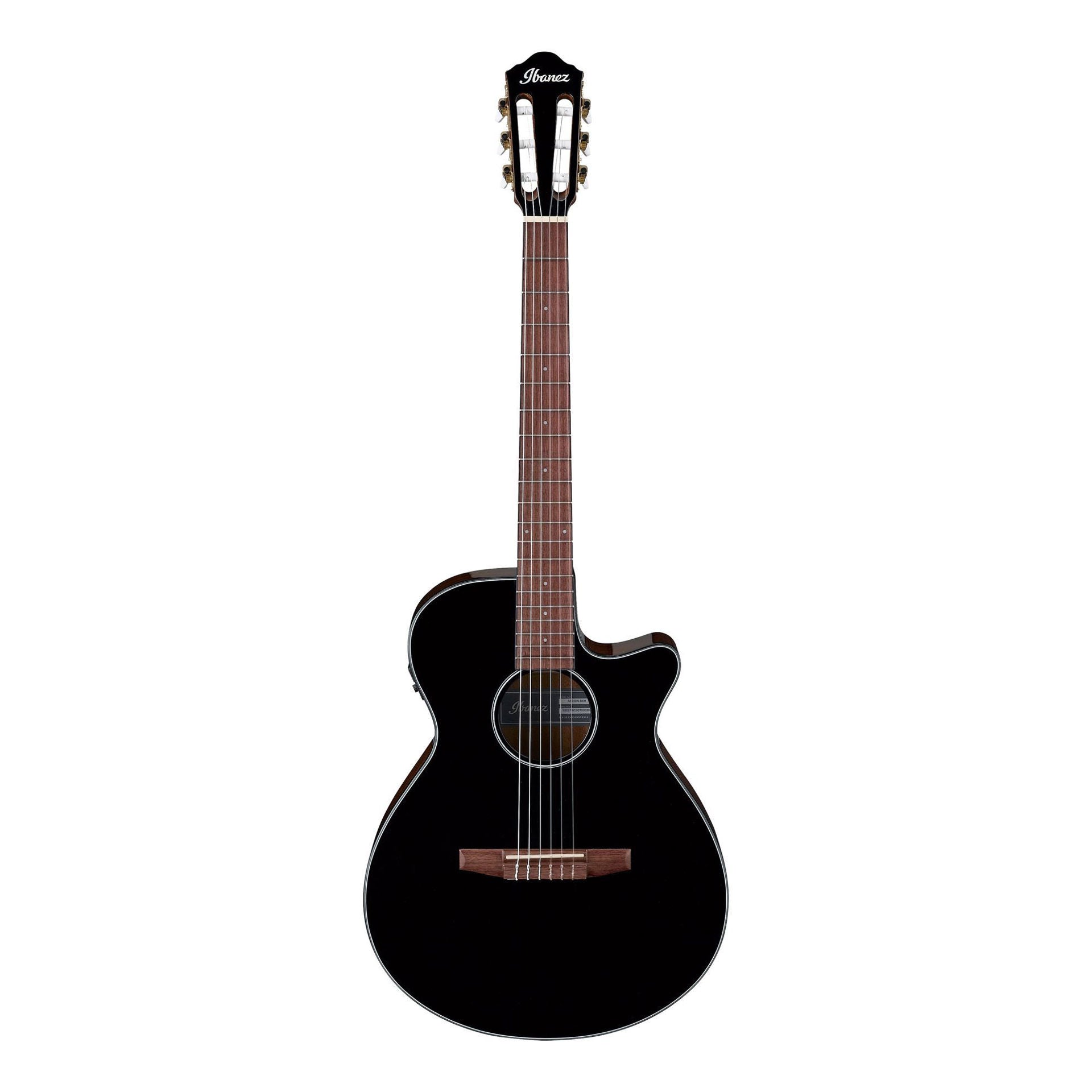 Ibanez AEG50N Classical Guitar in Black High Gloss