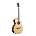 Ibanez AEG50 Classical Guitar in Natural High Gloss