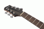 Ibanez PA300E Acoustic Guitar in Natural Low Gloss with Satin Top
