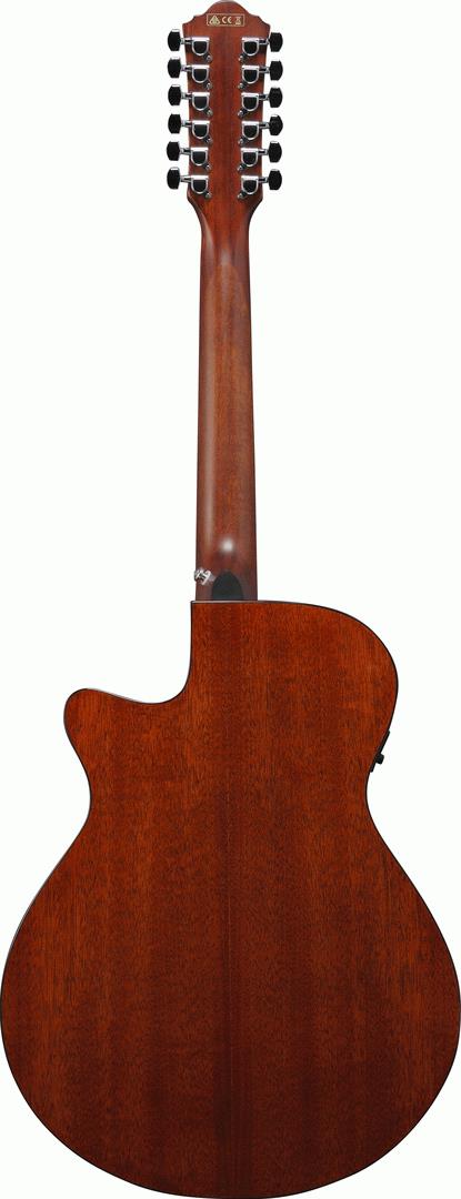 Ibanez AEG5012 Acoustic Guitar in Black High Gloss