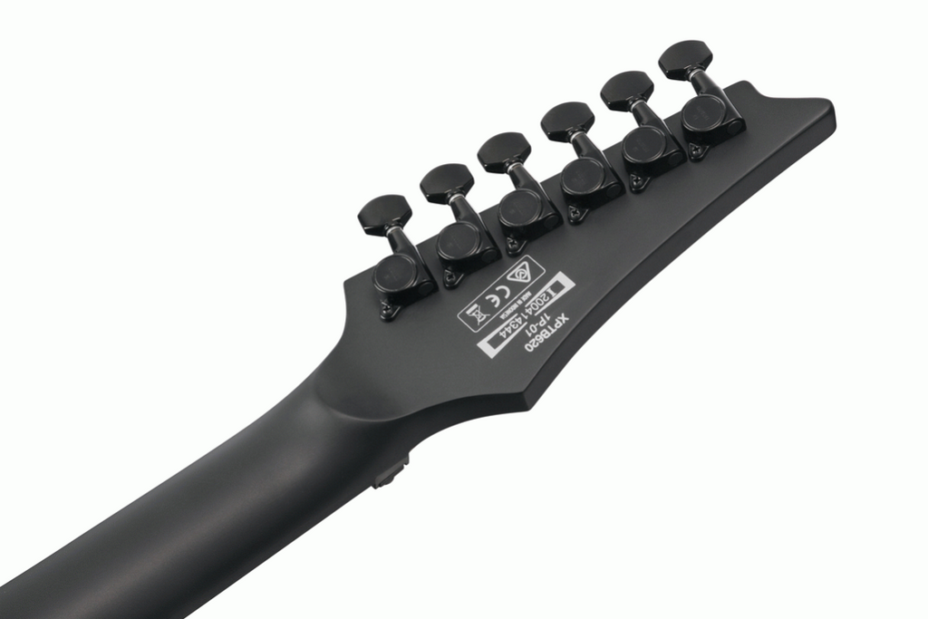 Ibanez XPTB620 Iron Label Electric Guitar in Black Flat