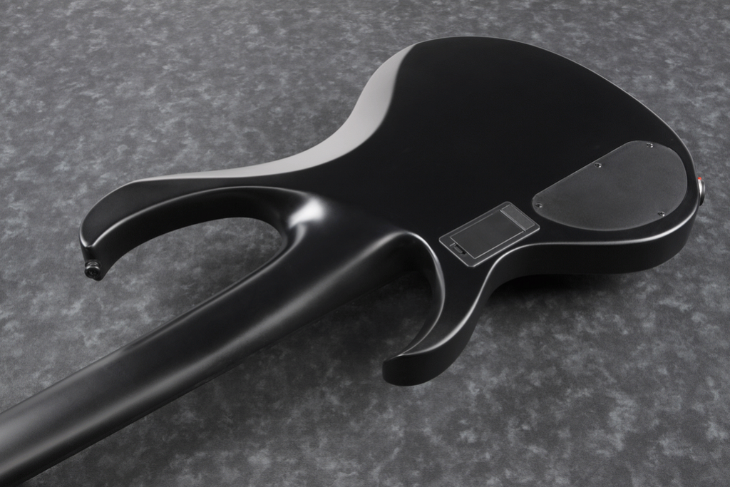 Ibanez BTB625EX Iron Label 5-String Electric Bass Guitar in Black Flat