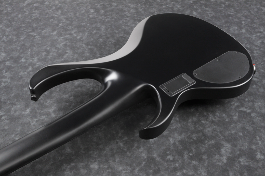 Ibanez BTB625EX Iron Label 5-String Electric Bass Guitar in Black Flat