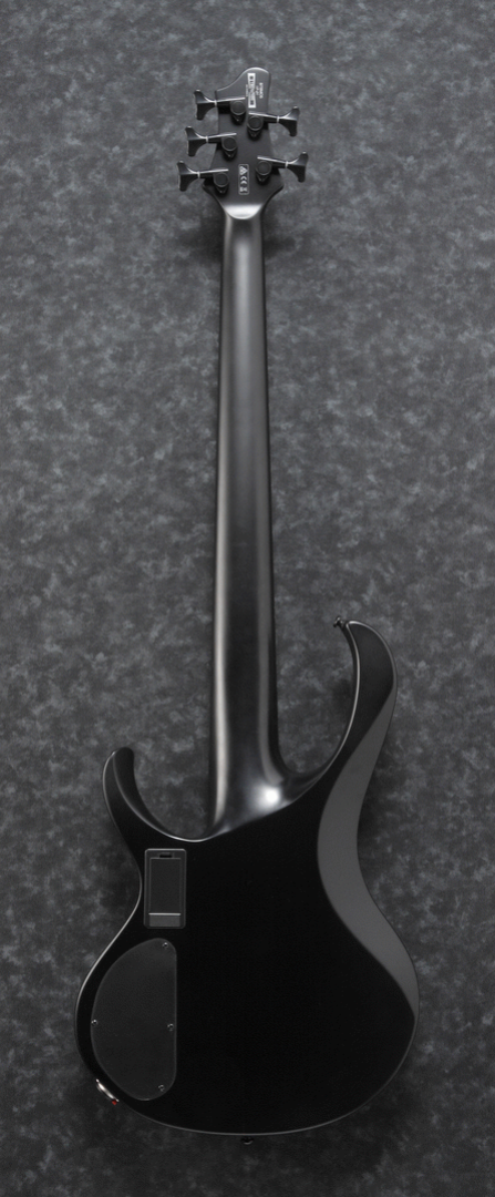 Ibanez BTB625EX Iron Label 5-String Electric Bass Guitar in Black Flat