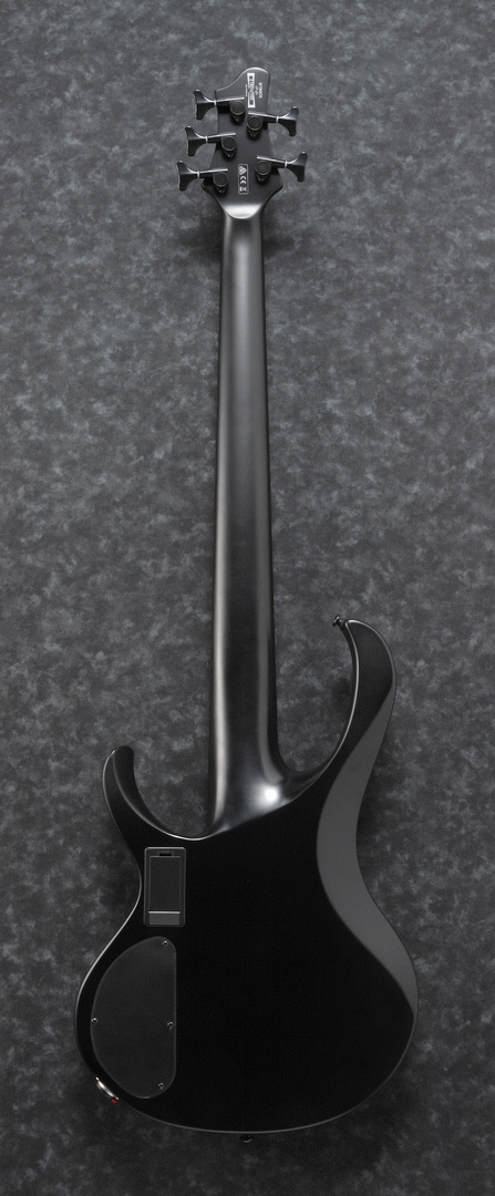 Ibanez BTB625EX Iron Label 5-String Electric Bass Guitar in Black Flat