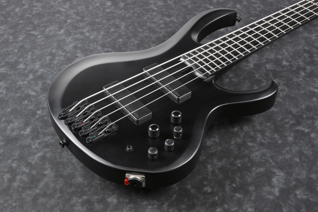 Ibanez BTB625EX Iron Label 5-String Electric Bass Guitar in Black Flat