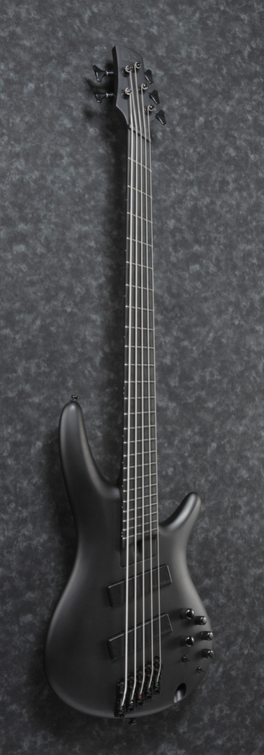 Ibanez SRMS625EX Iron Label 5-String Electric Bass Guitar in Black Flat