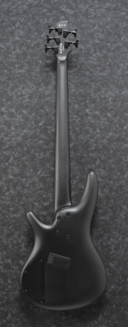 Ibanez SRMS625EX Iron Label 5-String Electric Bass Guitar in Black Flat