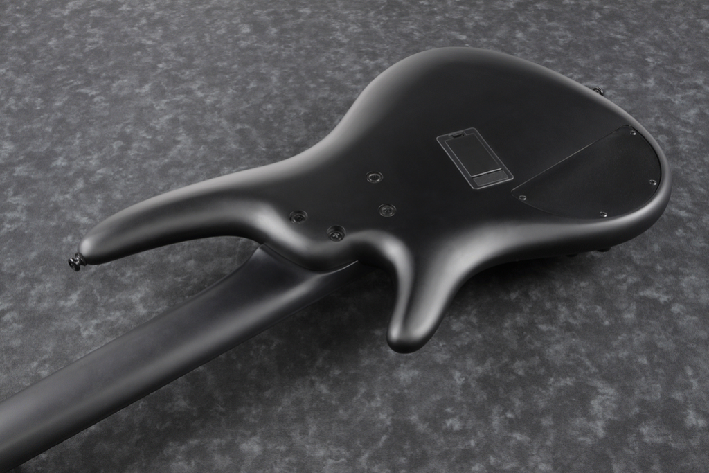 Ibanez SRMS625EX Iron Label 5-String Electric Bass Guitar in Black Flat