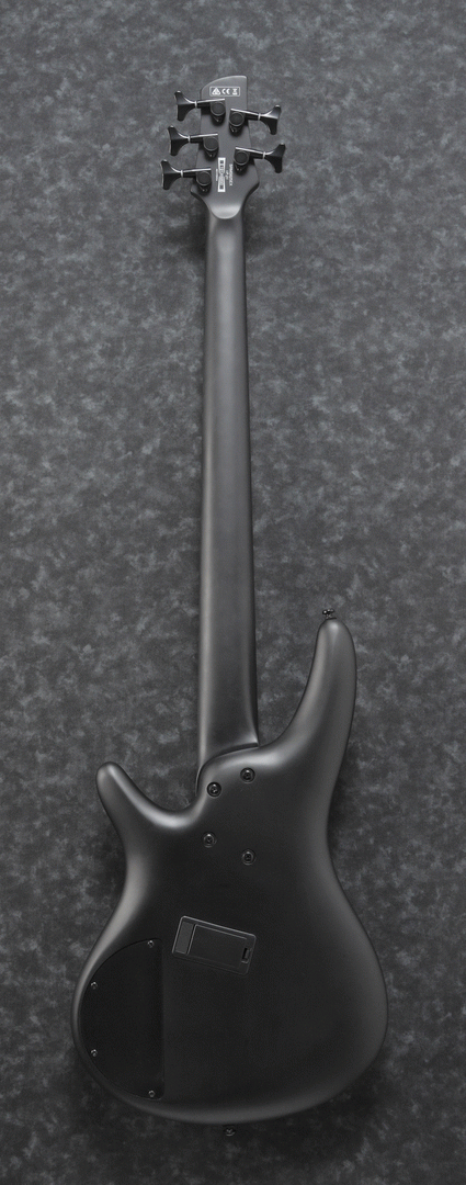 Ibanez SRMS625EX Iron Label 5-String Electric Bass Guitar in Black Flat