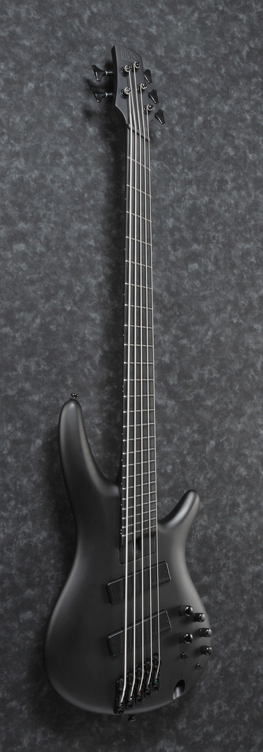 Ibanez SRMS625EX Iron Label 5-String Electric Bass Guitar in Black Flat