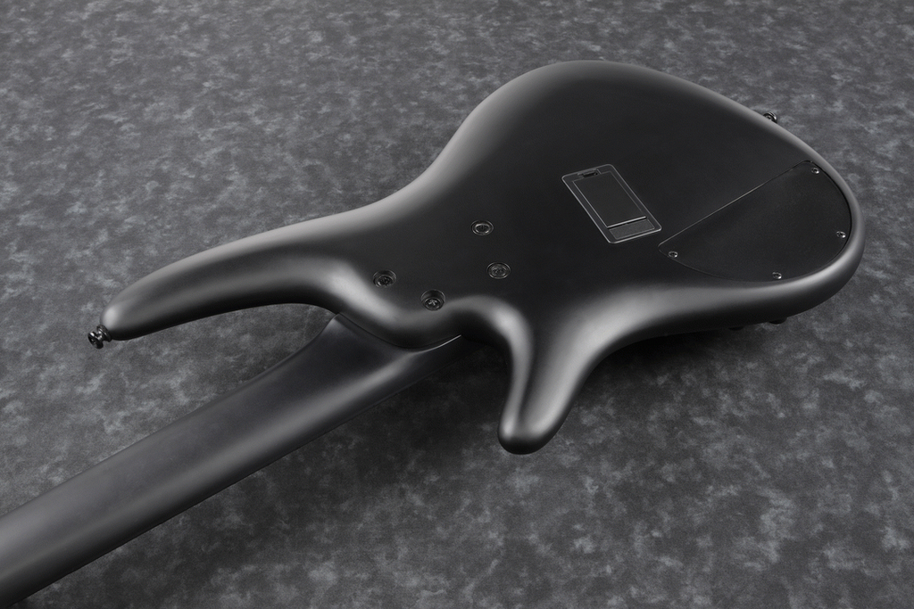 Ibanez SRMS625EX Iron Label 5-String Electric Bass Guitar in Black Flat