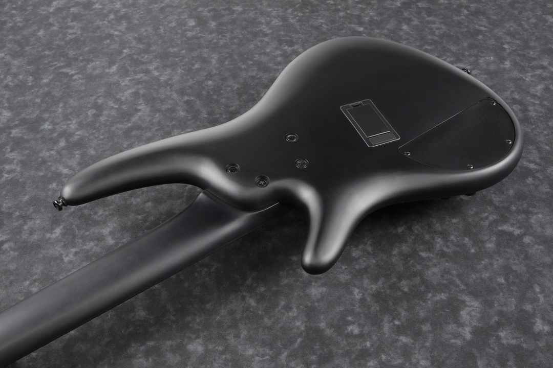 Ibanez SRMS625EX Iron Label 5-String Electric Bass Guitar in Black Flat