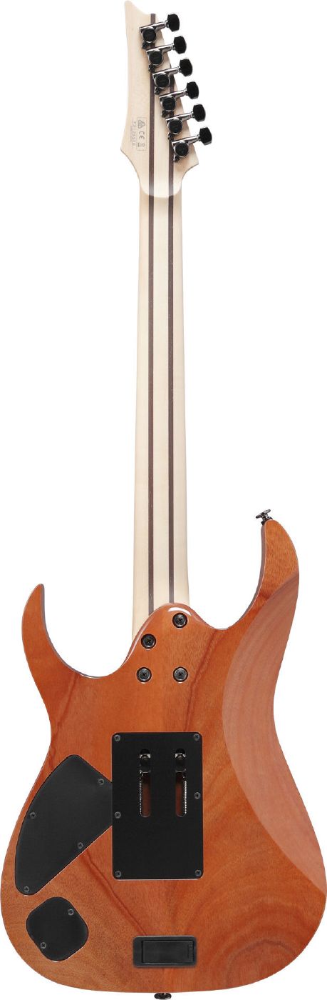 Ibanez RG5120M PRT Prestige Electric Guitar with Case - Polar Lights