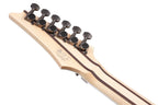Ibanez RG5120M PRT Prestige Electric Guitar with Case - Polar Lights