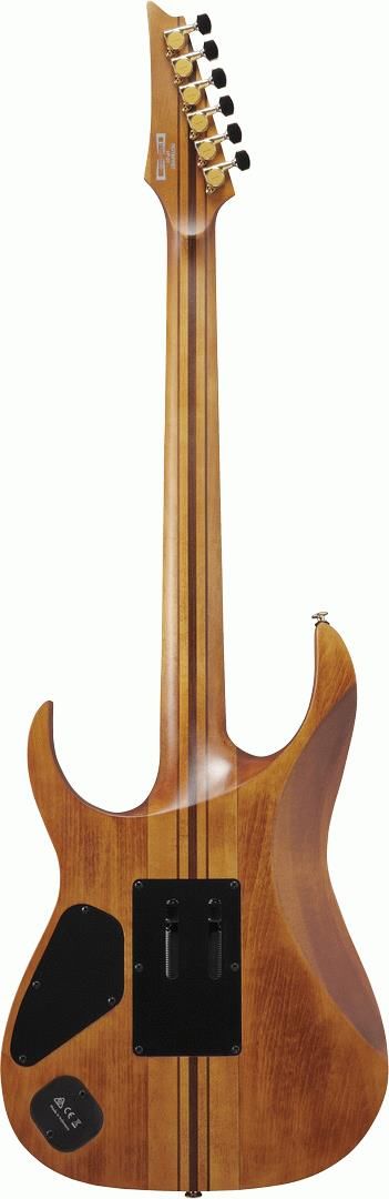 Ibanez RGT1220PB ABS Premium Electric Guitar with Bag - Antique Brown Stained Flat