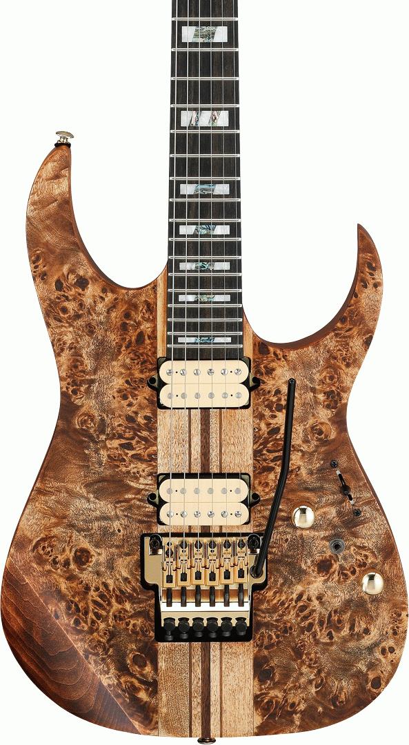 Ibanez RGT1220PB ABS Premium Electric Guitar with Bag - Antique Brown Stained Flat