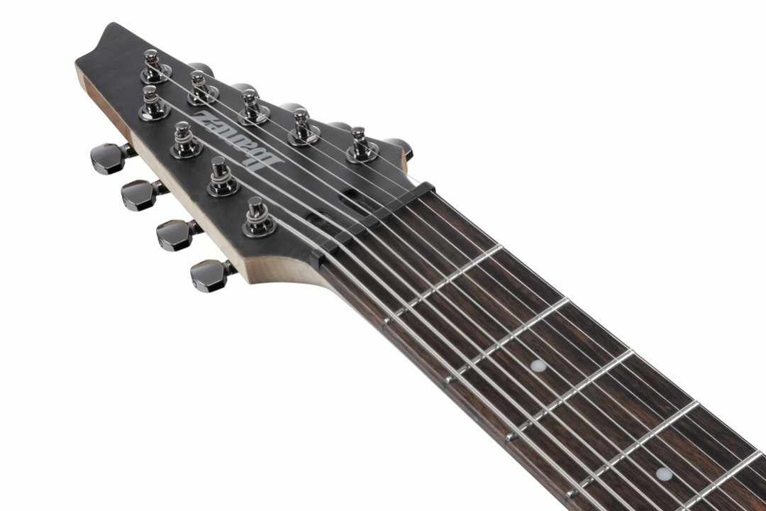 Ibanez RG9PB 9- string Electric Guitar in Transparent Gray Flat