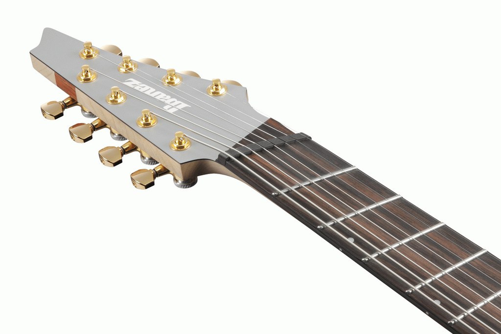 Ibanez RGDMS8 Electric Guitar in Classic Silver Metallic