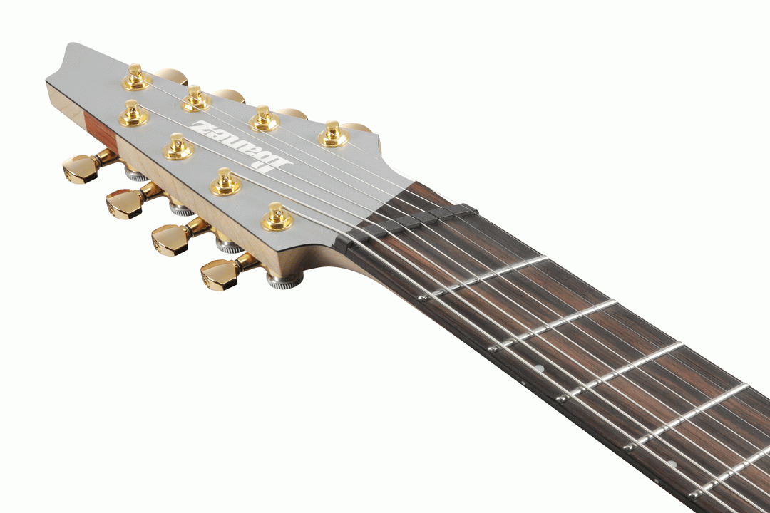 Ibanez RGDMS8 Electric Guitar in Classic Silver Metallic