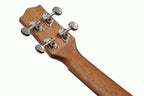 Ibanez UKC100 OPN Concert Ukulele - Open Pore Natural