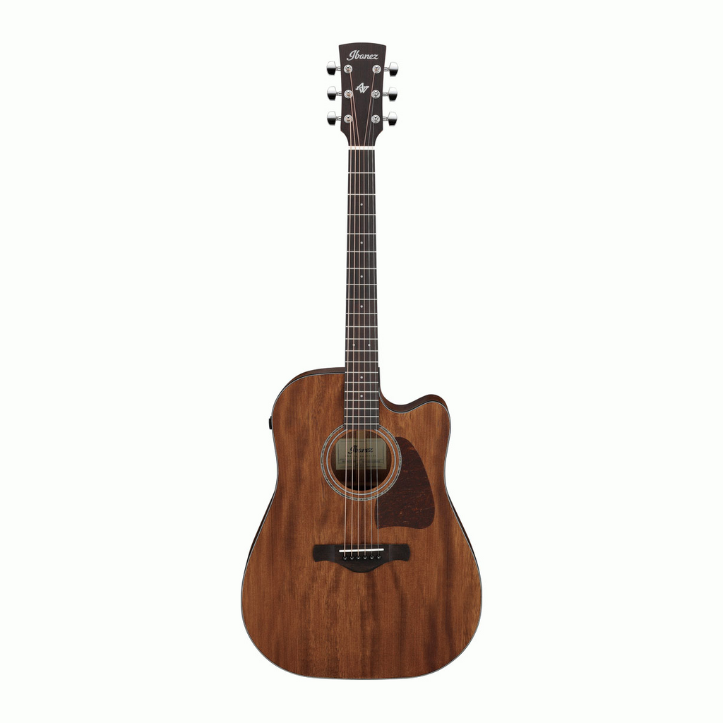 Ibanez AW1040CE All Solid Acoustic Guitar in Open Pore Natural