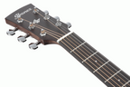 Ibanez AW1040CE All Solid Acoustic Guitar in Open Pore Natural
