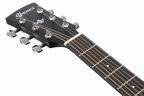 Ibanez AW1040CE All Solid Acoustic Guitar in Weathered Black