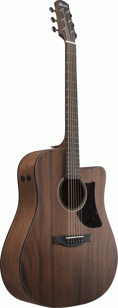 Ibanez AAD190CE Acoustic Guitar in Open Pore Natural
