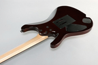 Ibanez KIKO100 Kiko Electric Guitar in Transparent Ruby Red with Case
