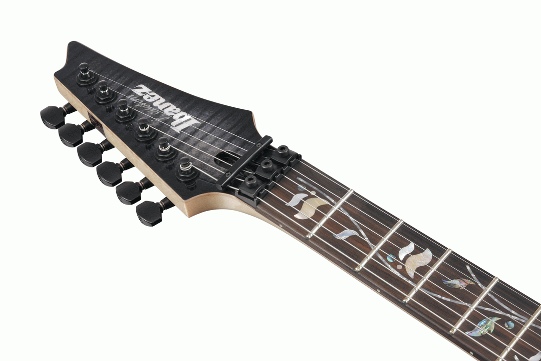 Ibanez RG8870 J-Custom Electric Guitar in Black Rutile with Case