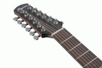 Ibanez AAD1012E Advanced Acoustic Guitar in Open Pore Natural