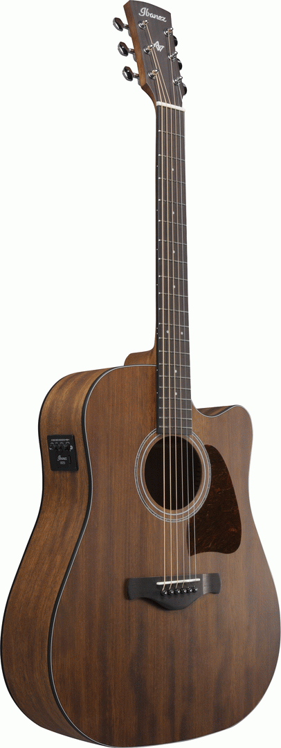 Ibanez AW247CE Artwood acoustic guitar with open pore natural finish, showcasing its body, soundhole, and fretboard details.