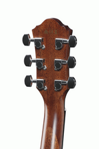 Ibanez AEG220 Acoustic Guitar in Natural Low Gloss