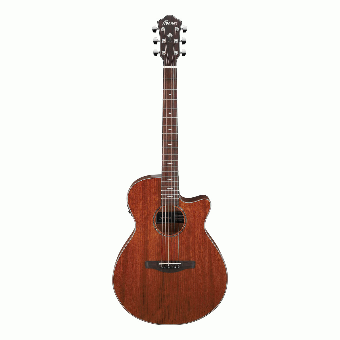Ibanez AEG220 Acoustic Guitar in Natural Low Gloss