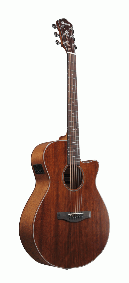 Ibanez AEG220 Acoustic Guitar in Natural Low Gloss