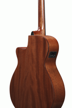 Ibanez AEG220 Acoustic Guitar in Natural Low Gloss
