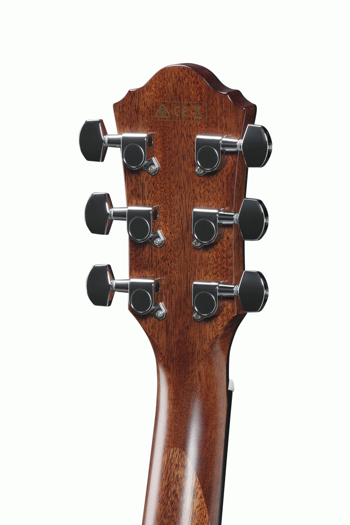 Ibanez AEG220 Acoustic Guitar in Natural Low Gloss