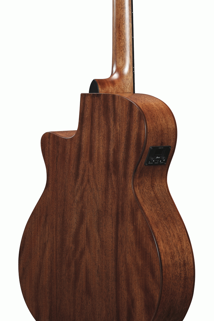 Ibanez AEG200 Acoustic Guitar in Natural Low Gloss