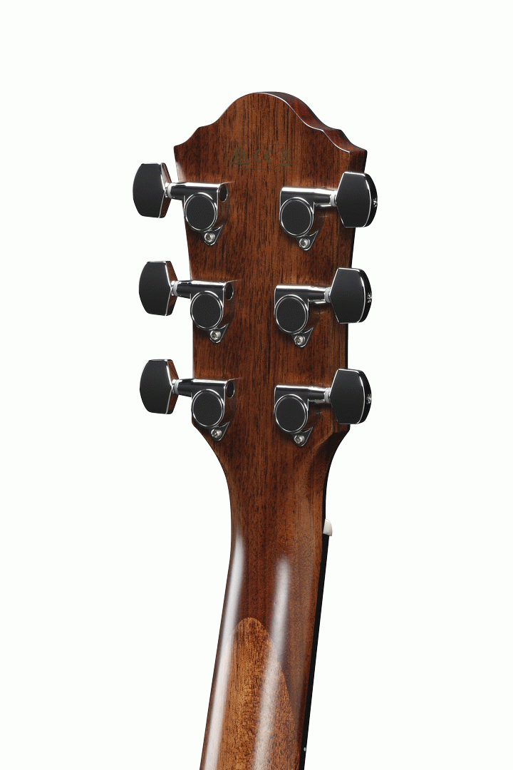 Ibanez AEG200 Acoustic Guitar in Natural Low Gloss