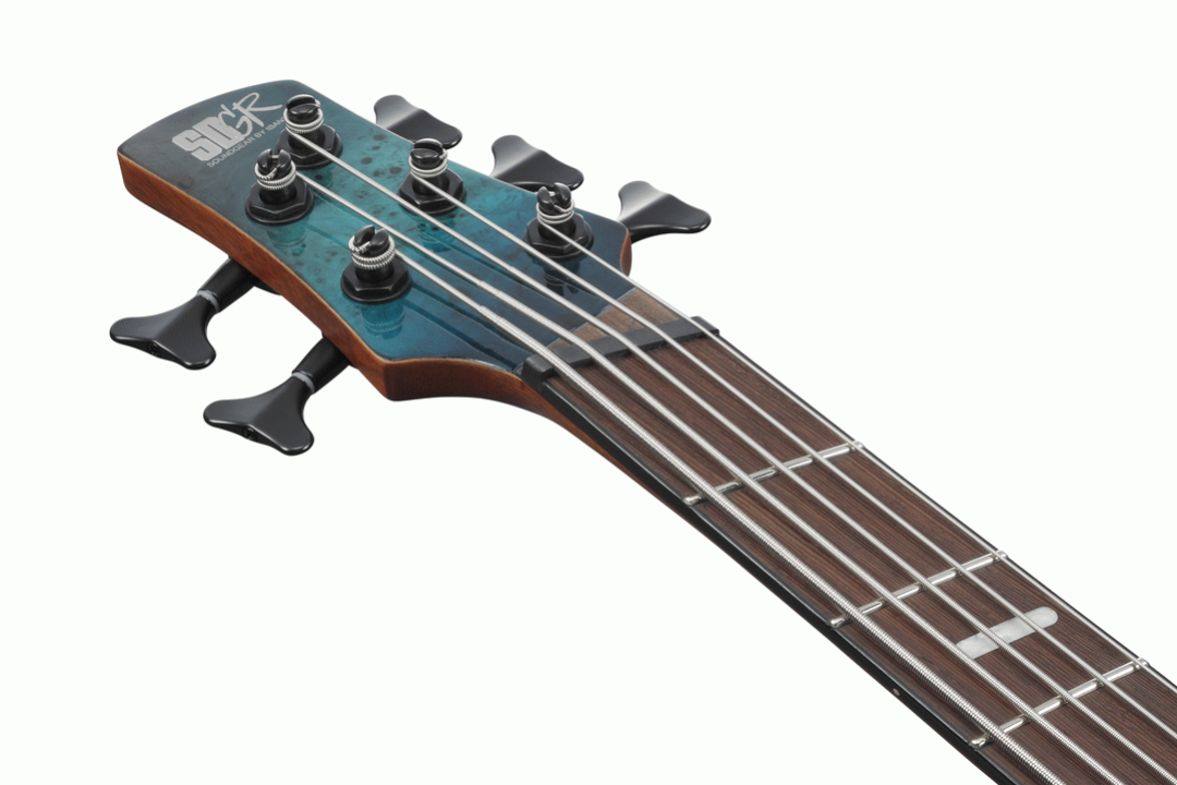 Ibanez SRMS805 5-string Electric Bass Guitar in Tropical Seafloor
