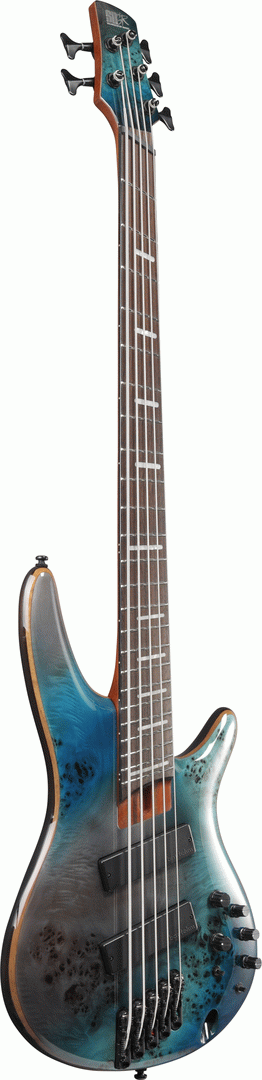 Ibanez SRMS805 5-string Electric Bass Guitar in Tropical Seafloor
