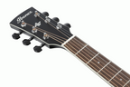 Ibanez AW84 Artwood Acoustic Guitar in Weathered Black