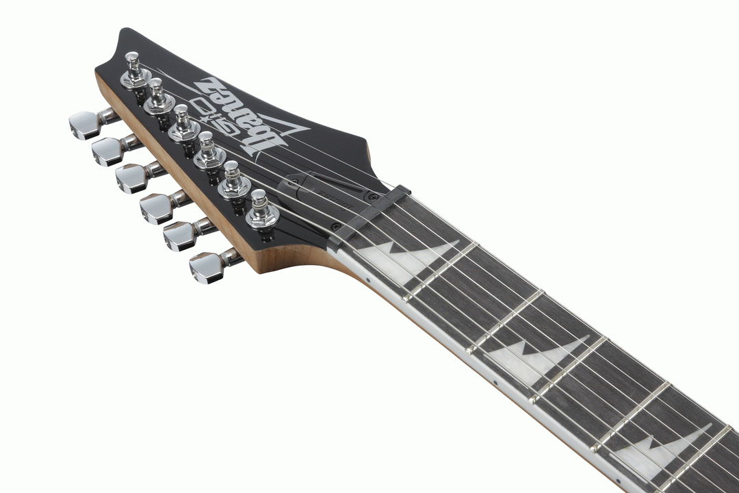 Ibanez RG220PA1 electric guitar with transparent brown black burst finish, showcasing its sleek body and six strings.